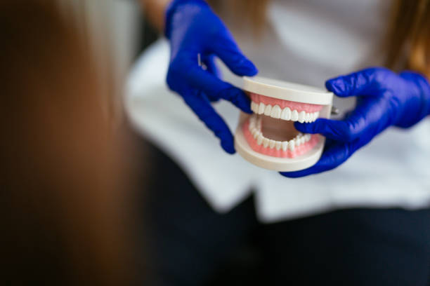 Best Preventive Dentistry  in Alsip, IL